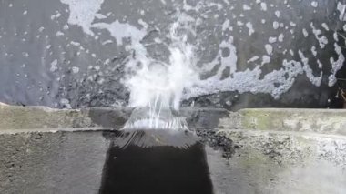 Waste water pipe. Surface or household waste water is drained from the pipe into an open reservoir