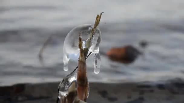 Potrubí Odpadní Vody Povrch Nebo Odpadní Voda Domácností Odváděna Potrubí — Stock video