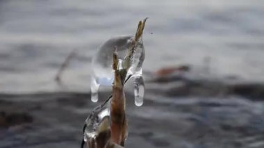 Dalgaların üstünde buz saçağı. Buzun içindeki dalgaların yansımasını görebilirsin..