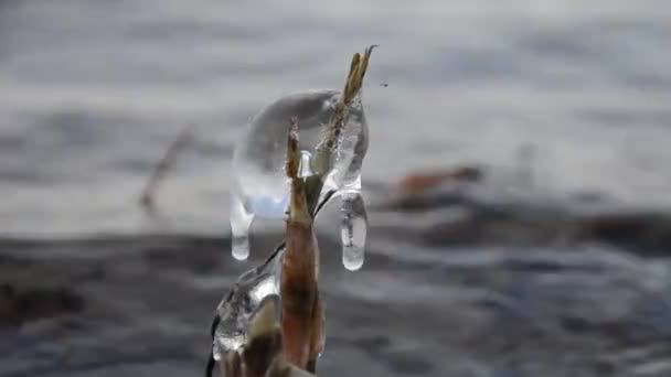 Icicle Sobre Las Olas Puede Ver Reflejo Las Olas Hielo — Vídeo de stock