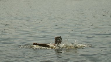 Mutlu çocuk denizde yüzüyor ve su sıçrıyor. Gülümseyen genç adam suya su sıçratıyor. Bir genç gölette yüzer.