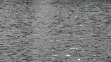 Geçmişi. Çok güzel bir göl. Nehrin yüzeyinde, suda güneş ışığı parlıyor. Güneş ışınları yansıyor, suda parlıyor, su deposunda. Barış ve sükunet kavramı