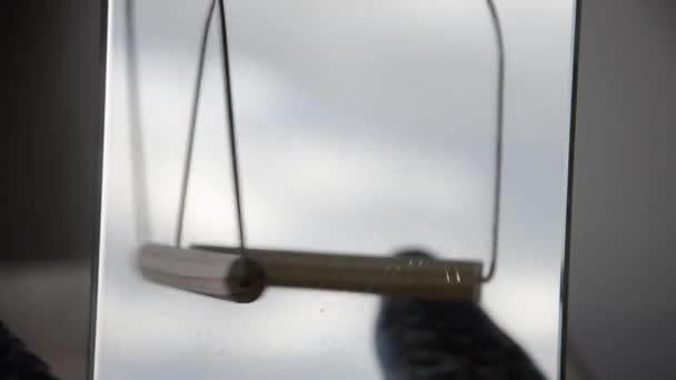 Budgie Går Framför Spegel Och Kan Inte Sitta Bänk Papegojan — Stockvideo