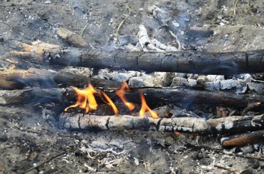 Ateşin alevi, yanan odunun arka planında sönüyor. Yanmış ağaç dalları ve kül. Doğadaki ateş, rahatla. Kapatın. yakın.
