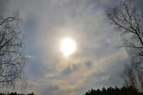 Paisaje Otoño Primavera Sol Contra Cielo Con Nubes Blancas Ramas — Foto de Stock