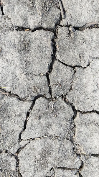 The cracked earth. There are many cracks on the surface of the earth. The dry surface of the earth. Close up. Background, texture. Concept: Drought. Climate change.
