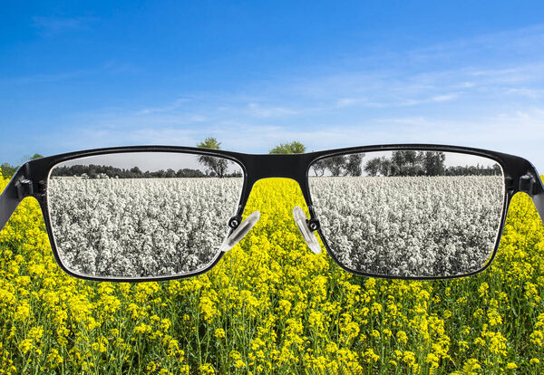 Looking through glasses to bleach nature landscape with blue sky and yellow field. Color blindness. World perception during depression. Medical condition. Health and disease concept.
