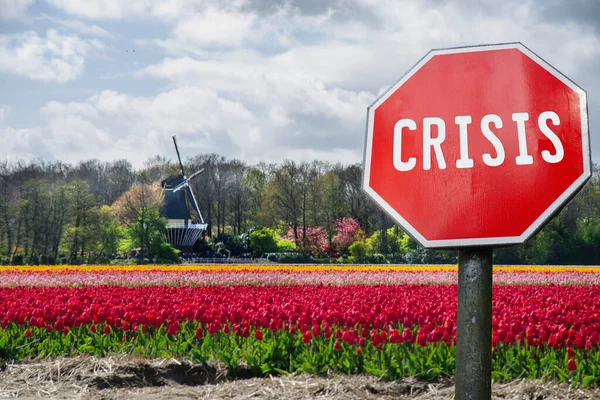 Krisenstoppschild Mit Blick Auf Tulpenfeld Und Windmühle Den Niederlanden Finanzcrash — Stockfoto