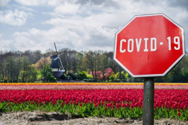 Corona virus stop sign with view of tulips field and watermill in Netherlands. Warning about epidemic quarantine. Coronavirus disease pandemic. COVID-2019 alert sign clipart