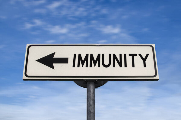 Immunity road sign, arrow on blue sky background. One way blank road sign with copy space. Arrow on a pole pointing in one direction.