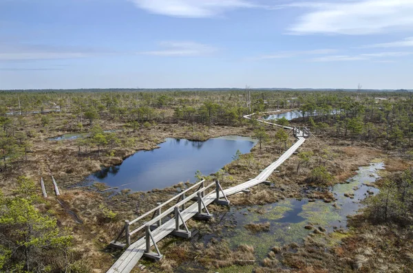 Büyük Kemeri Bog Boardwalk, Letonya, Avrupa 'daki bataklık üzerinde tahta patika.
