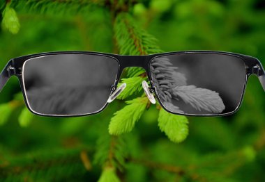 Bardakların arasından yeşil çam iğneleriyle beyazlatıcı doğa manzarasına bakıyorum. Renk körlüğü. Depresyon sırasında dünya algısı. Tıbbi durum. Sağlık ve hastalık konsepti.