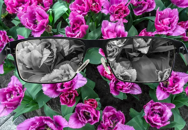 Kijk Door Glazen Tulpenveld Bleken Kleurenblindheid Wereldbeeld Tijdens Depressie Medische — Stockfoto