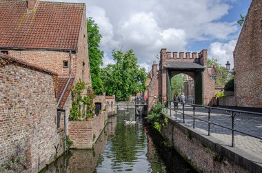 Belçika 'nın tarihi Bruges (Brugge) şehir merkezinde kanal, kuğu ve ortaçağ tuğla evleri manzarası. 