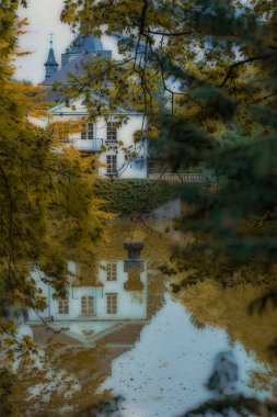 Ağaç dalları ve yaşlı yapraklar bir yansıma ile gölün üzerinde asılı.