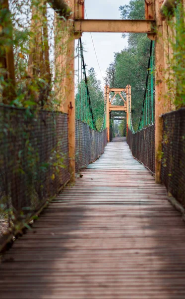 Puente oxidado sobre el río en un lugar olvidado, con arbustos y arbustos por todas partes . — Foto de Stock