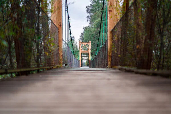 Una antigua construcción de puente de madera con ramas de árboles crecidas a través de ella . — Foto de Stock