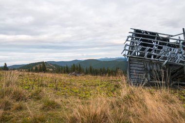 Dağlarda, bulutlu gökyüzü ve kuru otlarla kaplı eski ahşap kalaslar yığını..