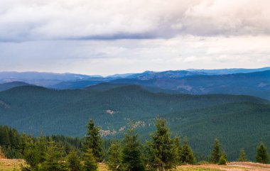 Dağlardaki yaz manzarası ve yukarıdaki kara bulutlu gökyüzü.