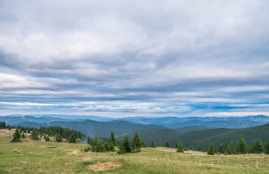 Tepelerde muhteşem manzaralar, arka planda çam ağaçları ve dağ katmanları var..