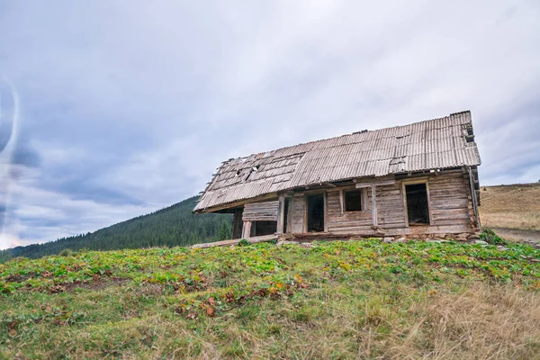 Dağlarda eski bir yerleşim yeri. Arka planda kurumuş çimenler ve köknar ağaçları var..