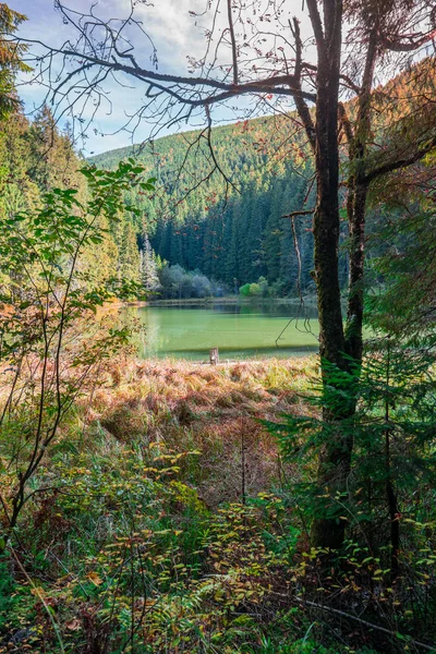 Вид на горное озеро из осеннего леса деревьев, сияющих теплыми солнечными лучами . — стоковое фото
