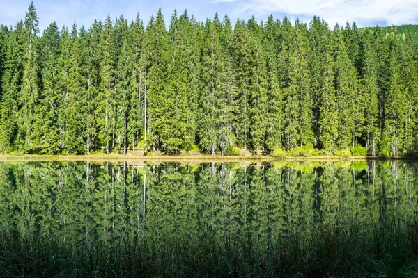 Kabarık bulutlar ve kozalaklı orman yansımaları ile görkemli göl manzarası.