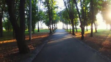 Parkta soluk yol ve günbatımında ağaçlar..