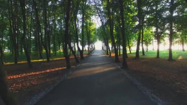 Parkta soluk yol ve günbatımında ağaçlar..