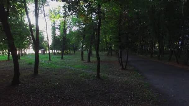 一个春天的公园淹没在树荫中 阳光透过树冠射出光芒 — 图库视频影像