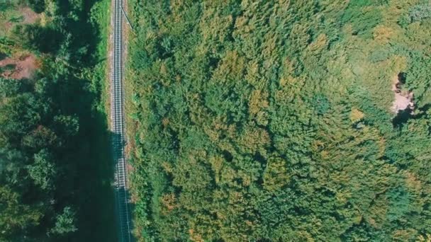Letecký Pohled Železniční Trať Zemi Lesem Staré Dřevo — Stock video