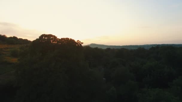Εικόνα Του Όμορφου Πορτοκαλιού Ηλιοβασιλέματος Στον Κήπο Ελαιόδεντρα Γεωργικό Τοπίο — Αρχείο Βίντεο