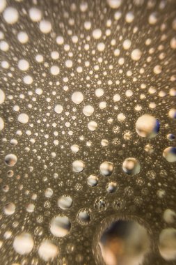 Kabarcık arka planda altın su damlaları. Altın baloncuk dokusu. Tasarım elementi.