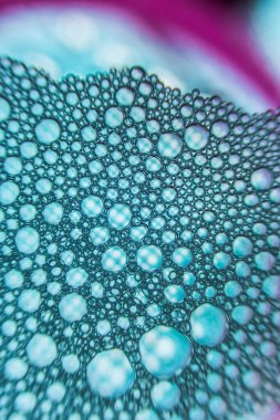 Kabarcıklı ve serin dokuları olan soyut su. Baloncuğun yüzeyi inanılmaz bir renk ve boşlukla