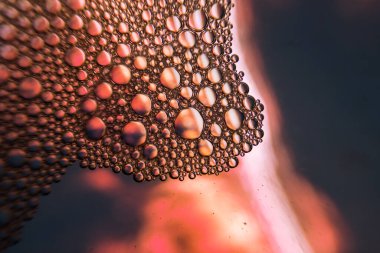 Metin veya logo için baloncuklu kırmızı ve sarı renkli su kristali