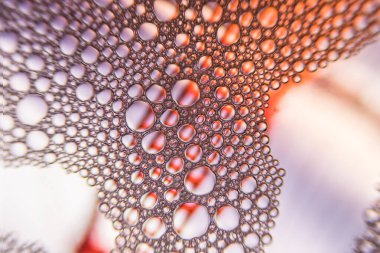 Renkli baloncukları yeşil, sarı, kırmızı arka planda kapatın. Su yüzeyindeki sabun köpüklerinin yansıması inanılmaz efekt renkleriyle ekranda