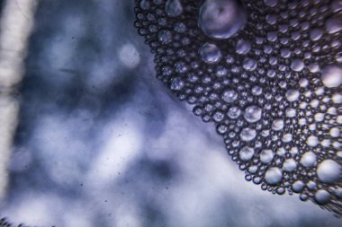 Su kristali koyu mor arka planda, inanılmaz bir dokuya sahiptir. İnanılmaz uzay dokuları İnanılmaz kabarcık gözlü.