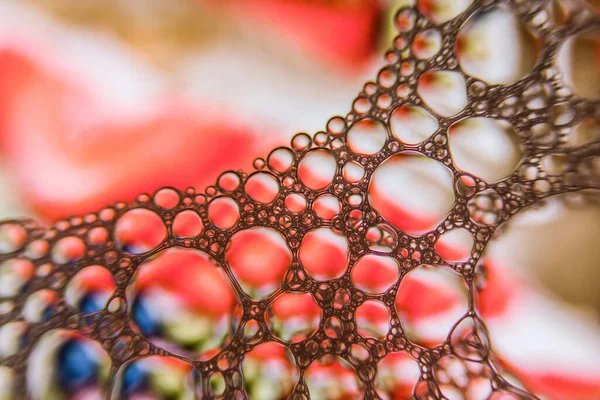 Amazing Macro closeup of a colorful soap bubble with amazing colour