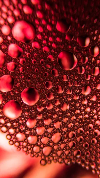 Fondo Increíble Con Burbujas Sangre Hermosa Textura Luz — Foto de Stock