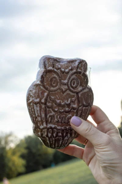 Gingerbread in a hand against the sky
