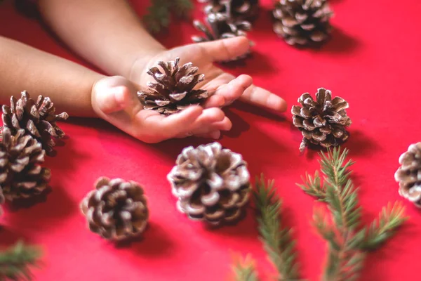 Kırmızı arkaplanda Firavun konileri.