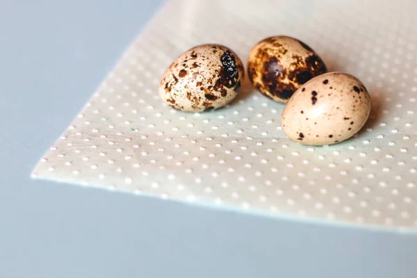 Bıldırcın yumurtaları mavi bir arkaplanda kağıt peçetenin üzerinde yatar..