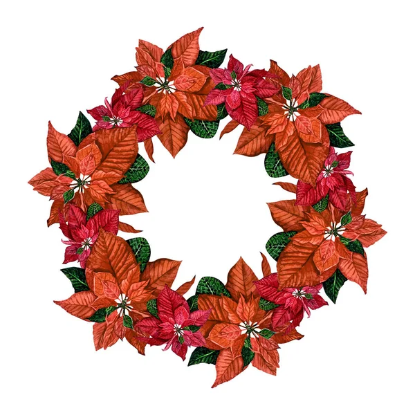 Watercolor Poinsettia Wreath Design New Year Greetings Cards Banners — Stock Photo, Image