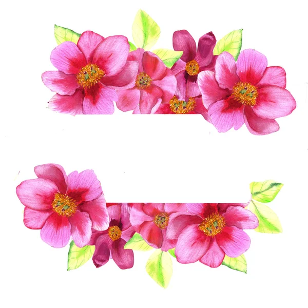 Banery Botaniczne Różowym Piwonią Romantyczny Design Kosmetyków Naturalnych Perfum Kobiecych — Zdjęcie stockowe