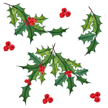 Yeşil Holly, kırmızı dutlar.
