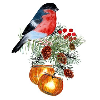 Fenerin üzerinde oturan gerçekçi ispinoz kuşu