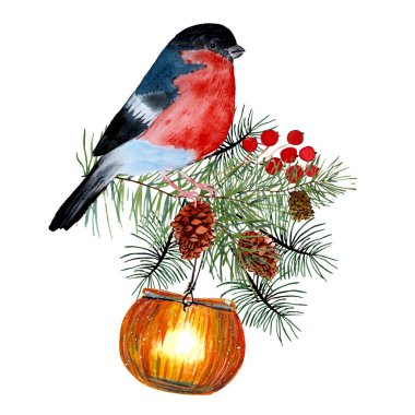 Fenerin üzerinde oturan gerçekçi ispinoz kuşu