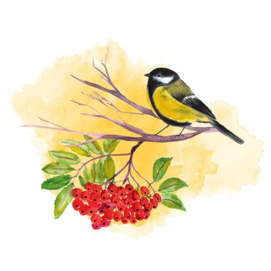 Kükreyen bir dalda ispinoz kuşu