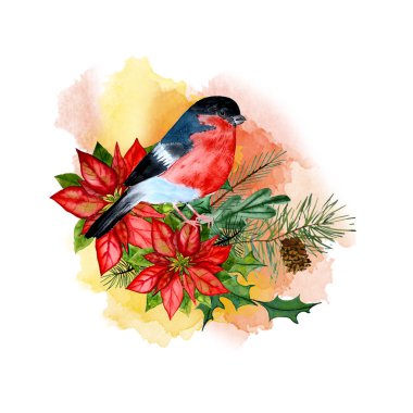 ispinoz ve Noel yıldızı, noktalı yıldız, çerçeve