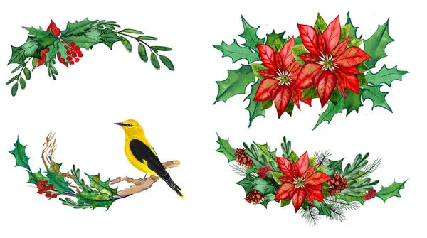Winter elements of a bird, pine, spruce, poddub, mistletoe, poin — 스톡 사진